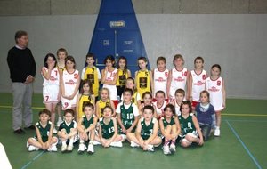 Plateau Mini Poussins Ã  Cusset le 23.01.10. Photo